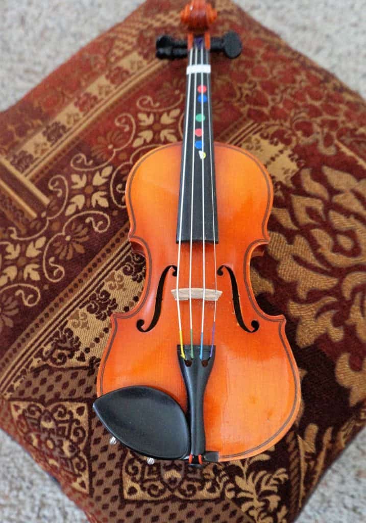 Suzuki Nagoya Violin