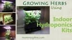 18 Great Countertop Hydroponic Herb Gardens 2022