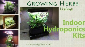 Top Hydroponic Herb Kit