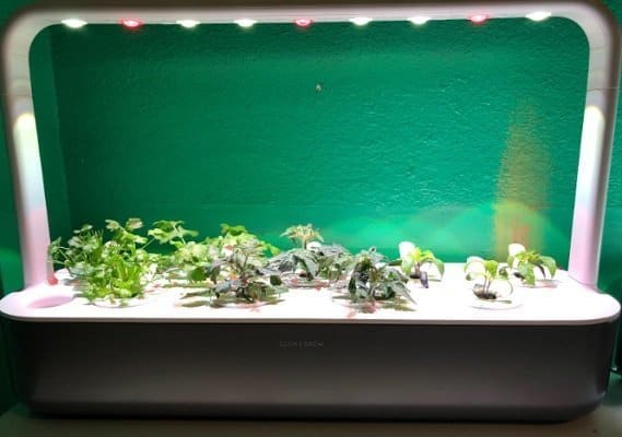 Click & Grow Smart Garden 9 Indoor Gardening Kit 