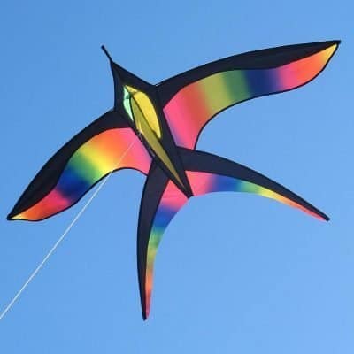 STOIE'S Bird Kite