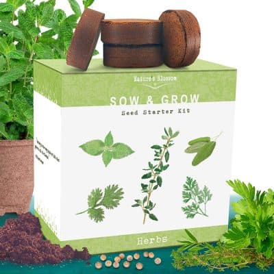 Nature's Blossom Herb Garden Kit