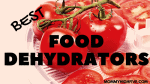 Best Dehydrators for Food to Buy