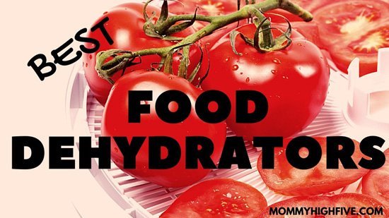 Best Food Dehydrators Mommyhighfive