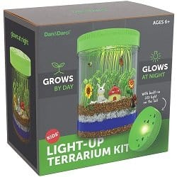 Light-up Terrarium Kit
