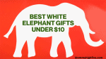 26 Best Budget White Elephant Gifts around $10 for Christmas 2021