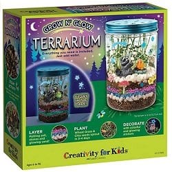 Grow and Glow Terrarium