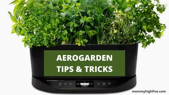 Aerogarden tips tricks mommyhighfive