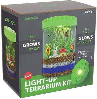 Light-up Terrarium Kit
